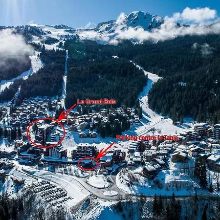 Confortable 2 Pieces Avec Balcon, Animaux Admis, Skis Aux Pieds - Fr-1-182a-9