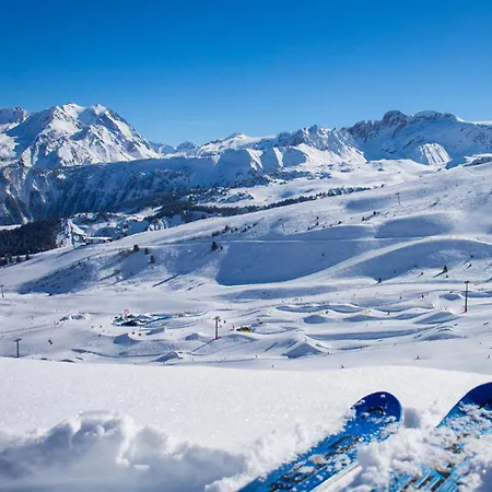 Confortable 2 Pieces Avec Balcon, Animaux Admis, Skis Aux Pieds - Fr-1-182a-9 *