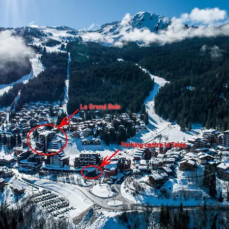 Confortable 2 Pieces Avec Balcon, Animaux Admis, Skis Aux Pieds - Fr-1-182a-9 Apartmán *