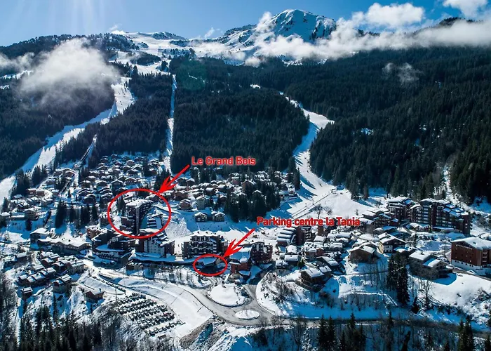 Confortable 2 Pieces Avec Balcon, Animaux Admis, Skis Aux Pieds - Fr-1-182a-9