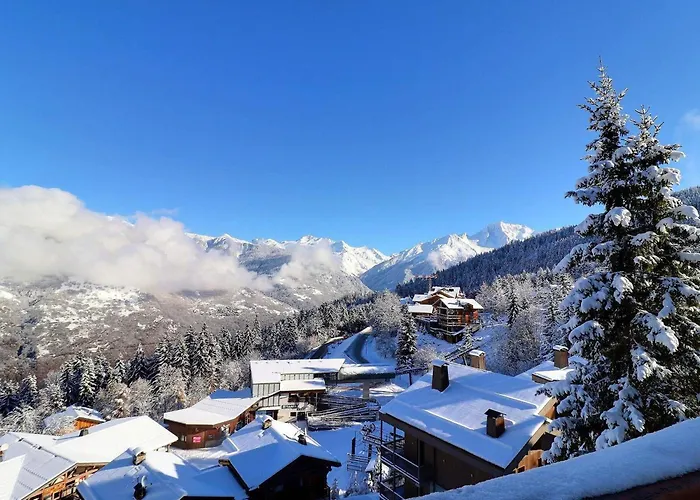 شقة Confortable 2 Pieces Avec Balcon, Animaux Admis, Skis Aux Pieds - Fr-1-182a-9 كورشوفيل