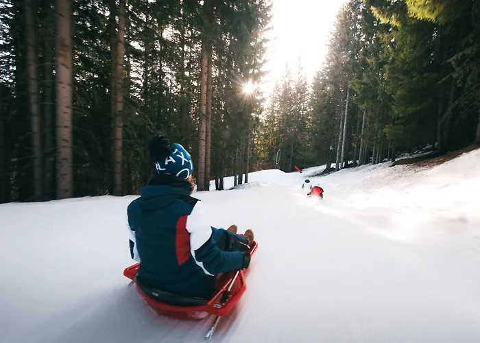 Confortable 2 Pieces Avec Balcon, Animaux Admis, Skis Aux Pieds - Fr-1-182a-9 * كورشوفيل