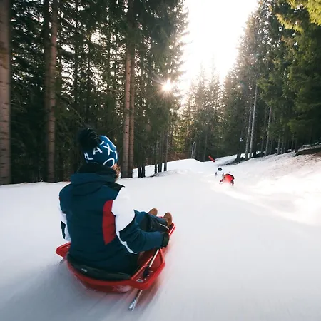 Apartament Confortable 2 Pieces Avec Balcon, Animaux Admis, Skis Aux Pieds - Fr-1-182a-9 Courchevel